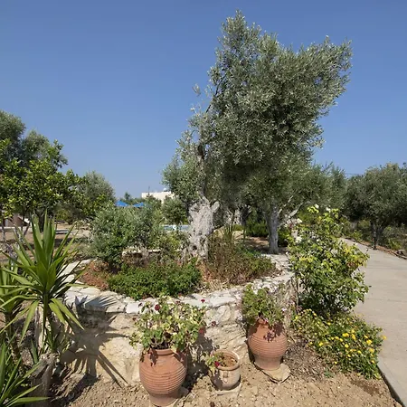 Modern In Sfakaki Crete With Swimming Pool Pangalochori