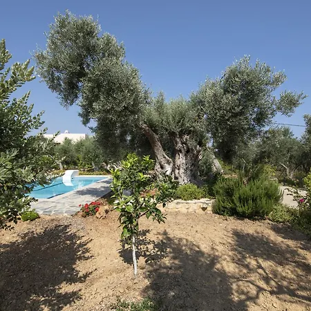 Modern In Sfakaki Crete With Swimming Pool Ferienhaus *